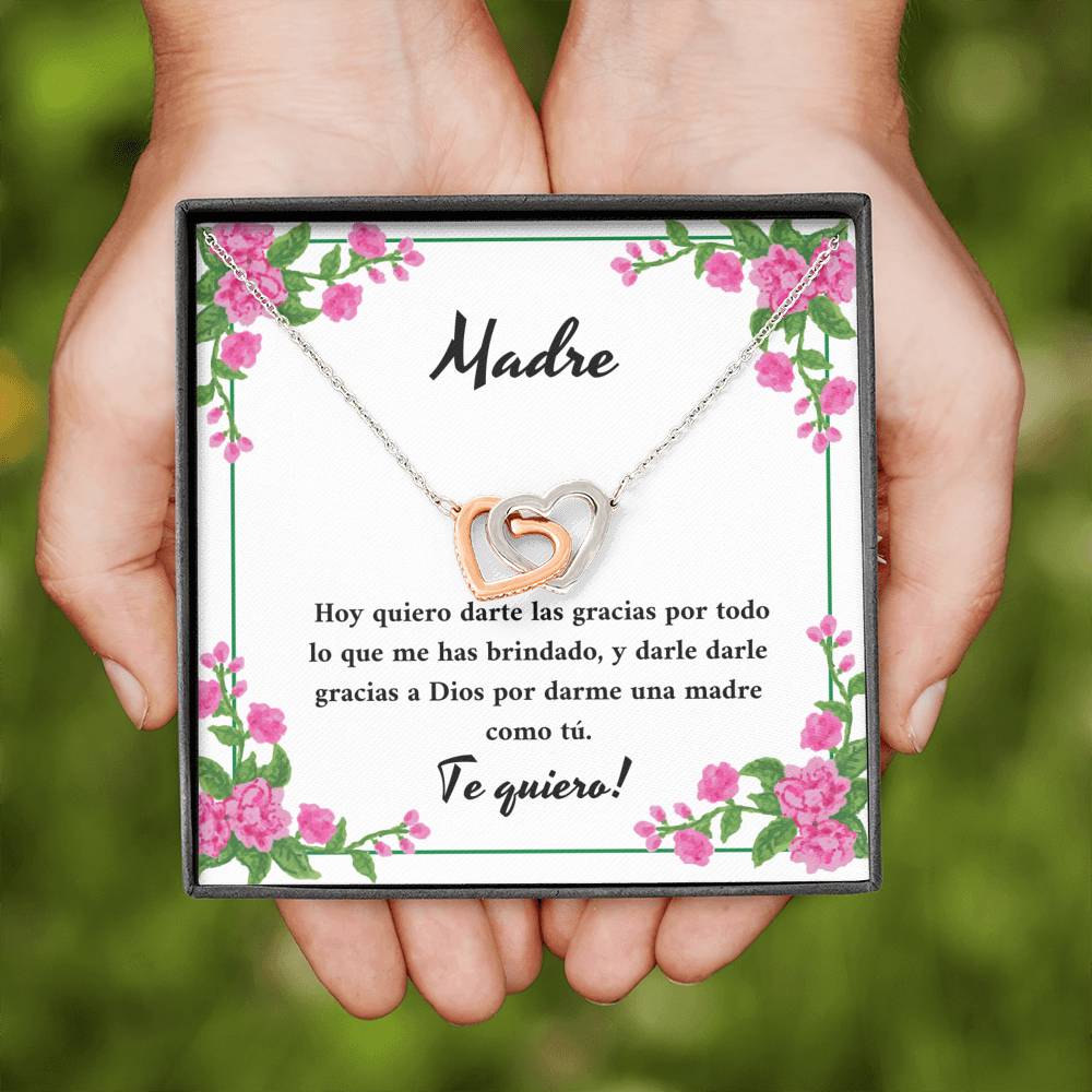 Madre gracias por todas las cosas que me has brindado