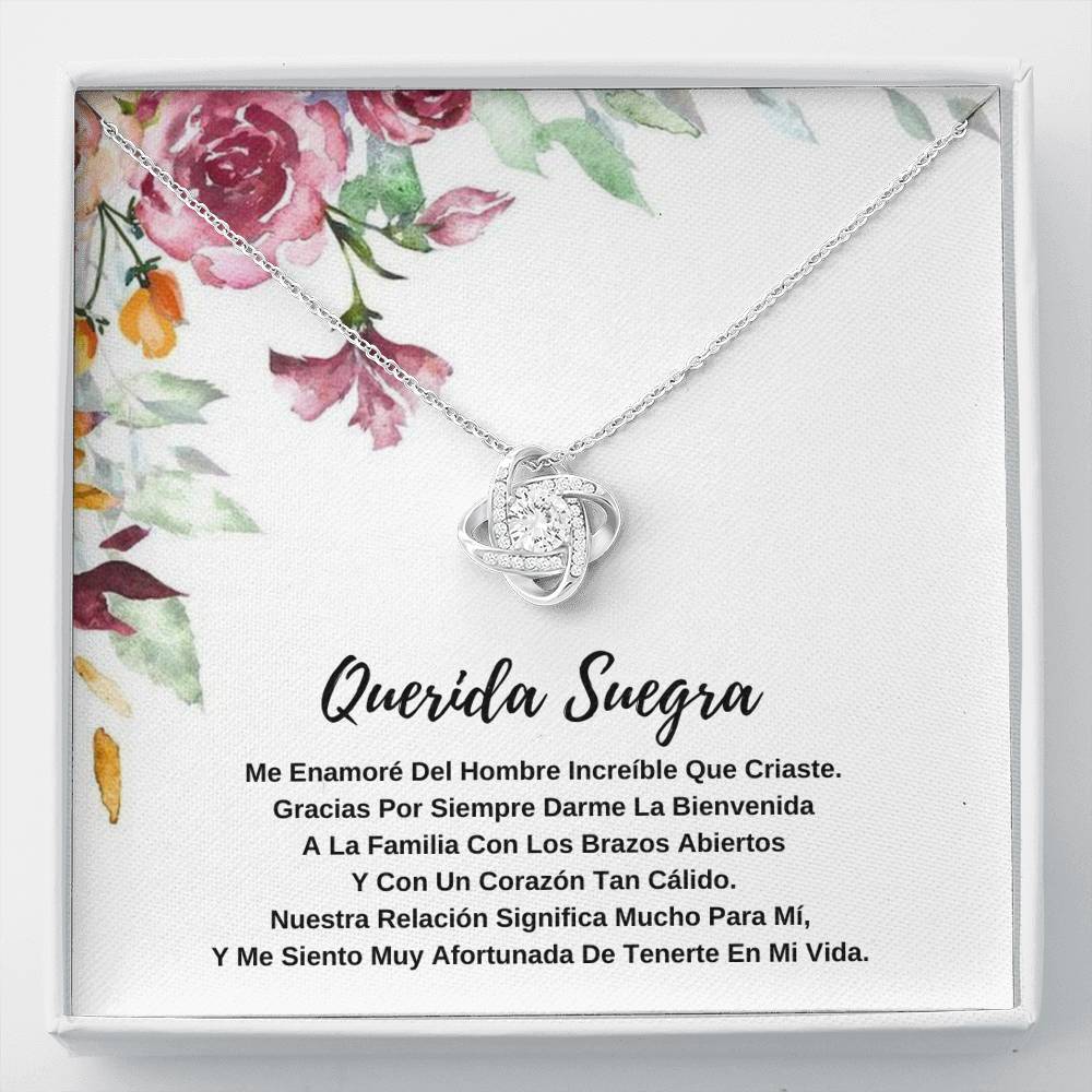 Querida Suegra - Me enamoré del hombre increíble que criaste