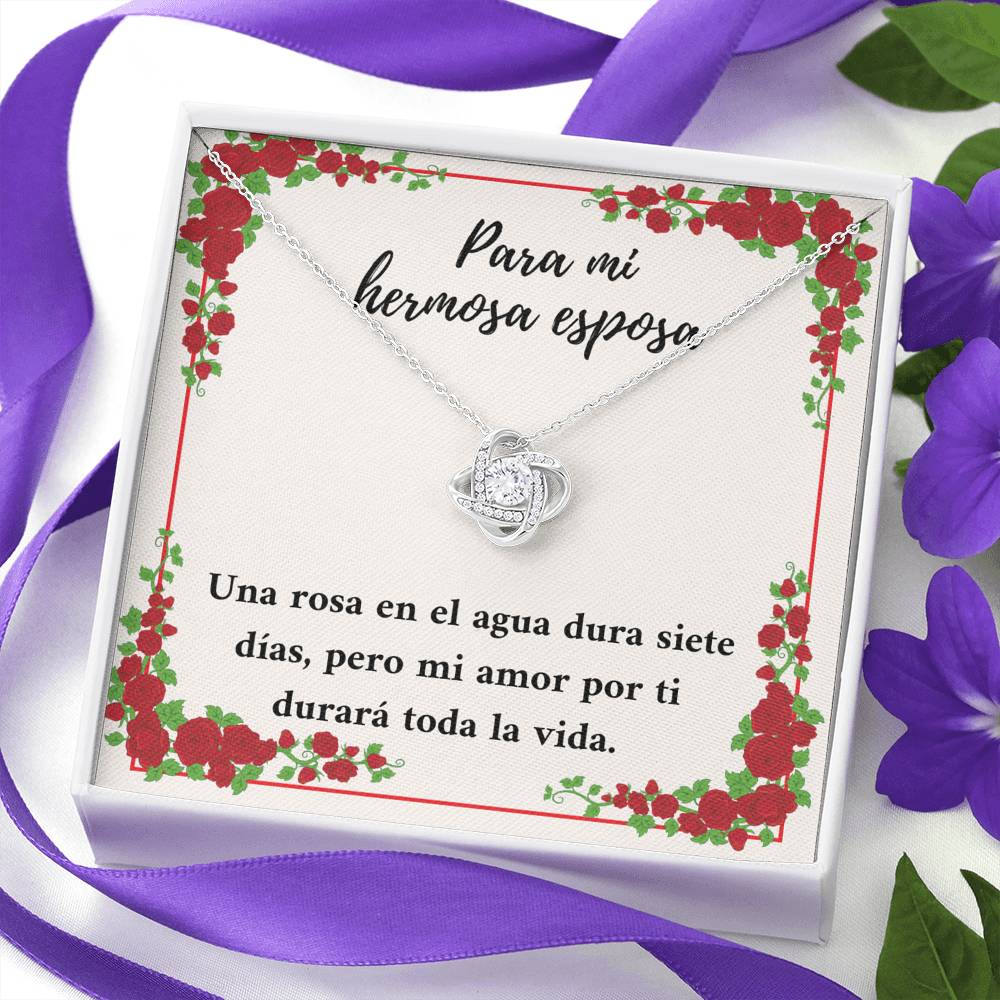 Para mi hermosa esposa mi amor por ti
