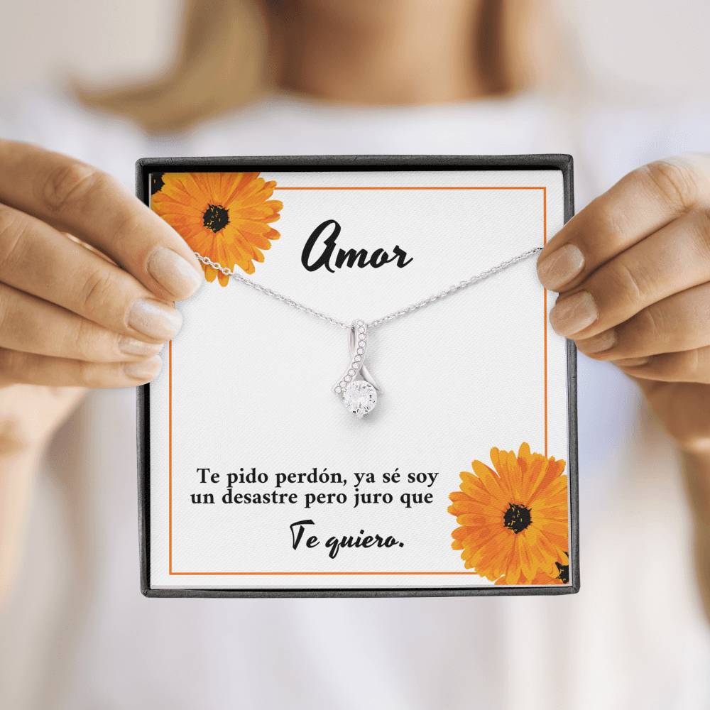 Amor te pido perdón soy un desastre