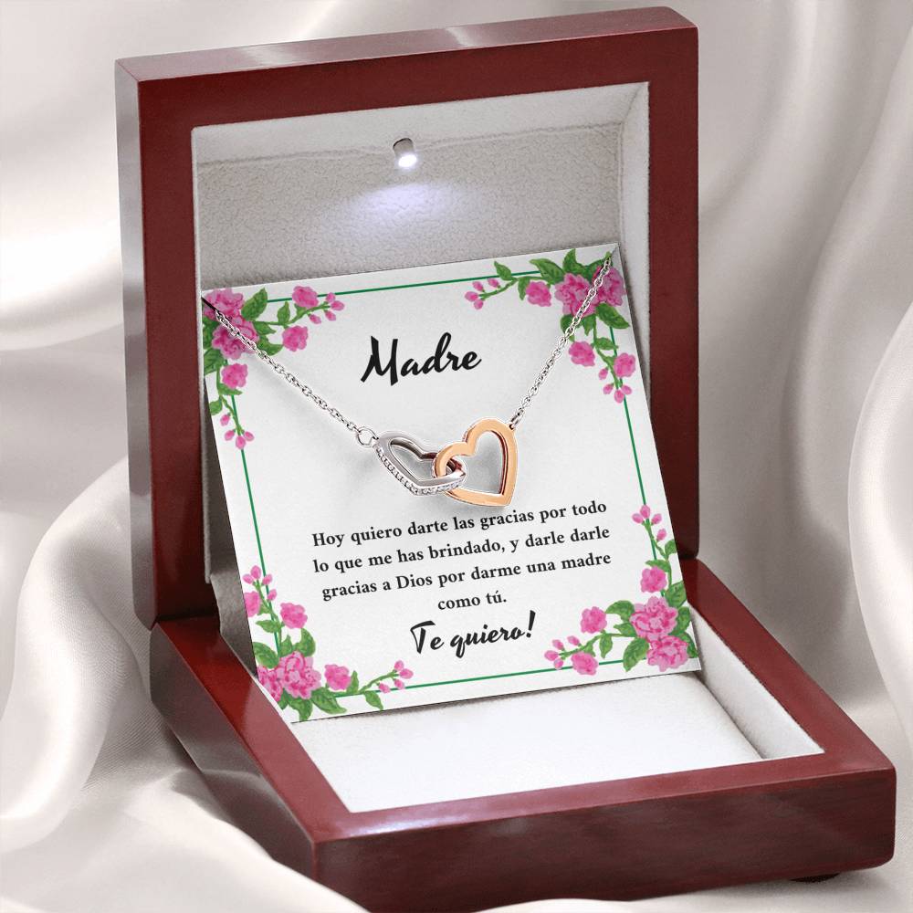 Madre gracias por todas las cosas que me has brindado
