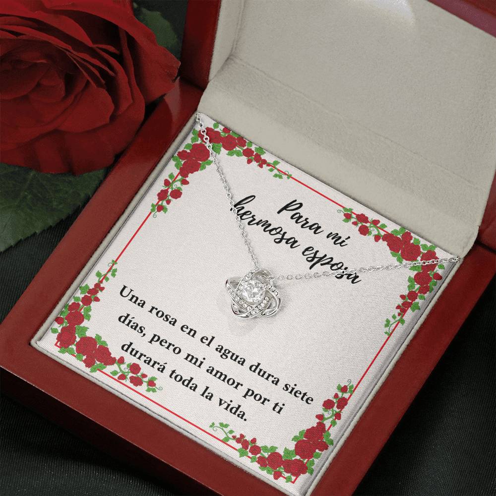 Para mi hermosa esposa mi amor por ti
