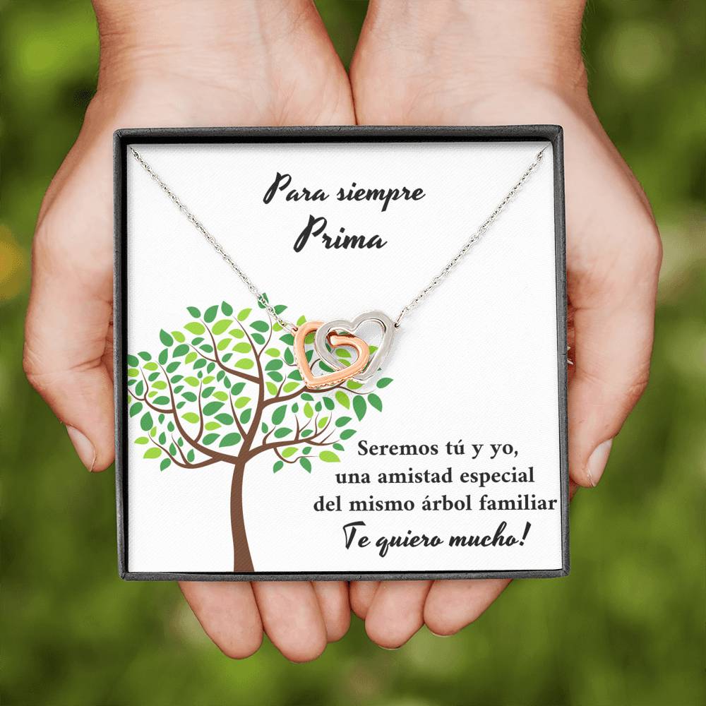 Prima nuestra amistad es especial